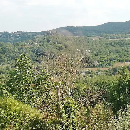 Casina Delle Farfalle